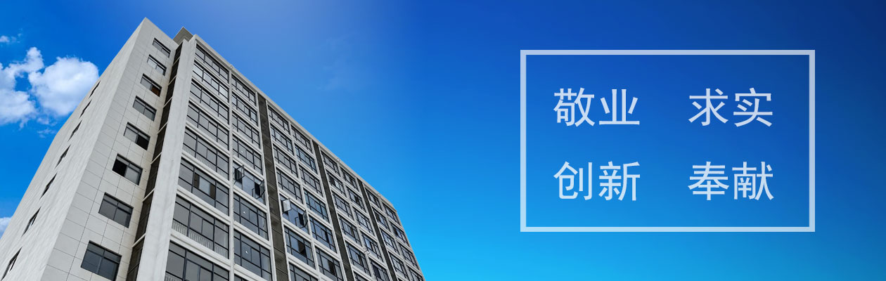 海南海盛實業(yè)集團